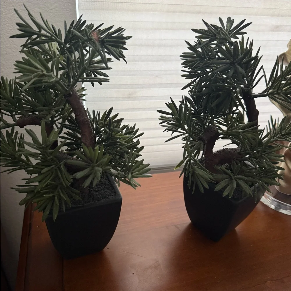 Artificial Pine Bonsai in Black Pot Set of 2